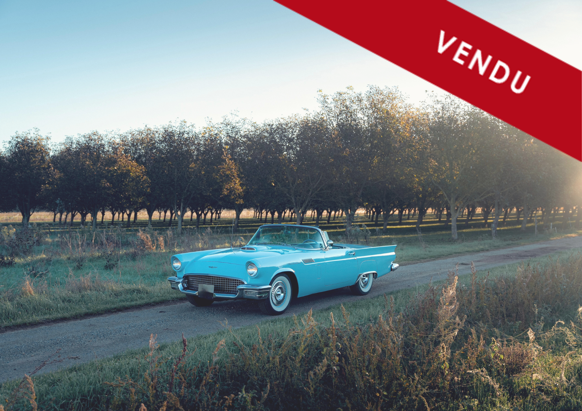 Ford Thunderbird 1957