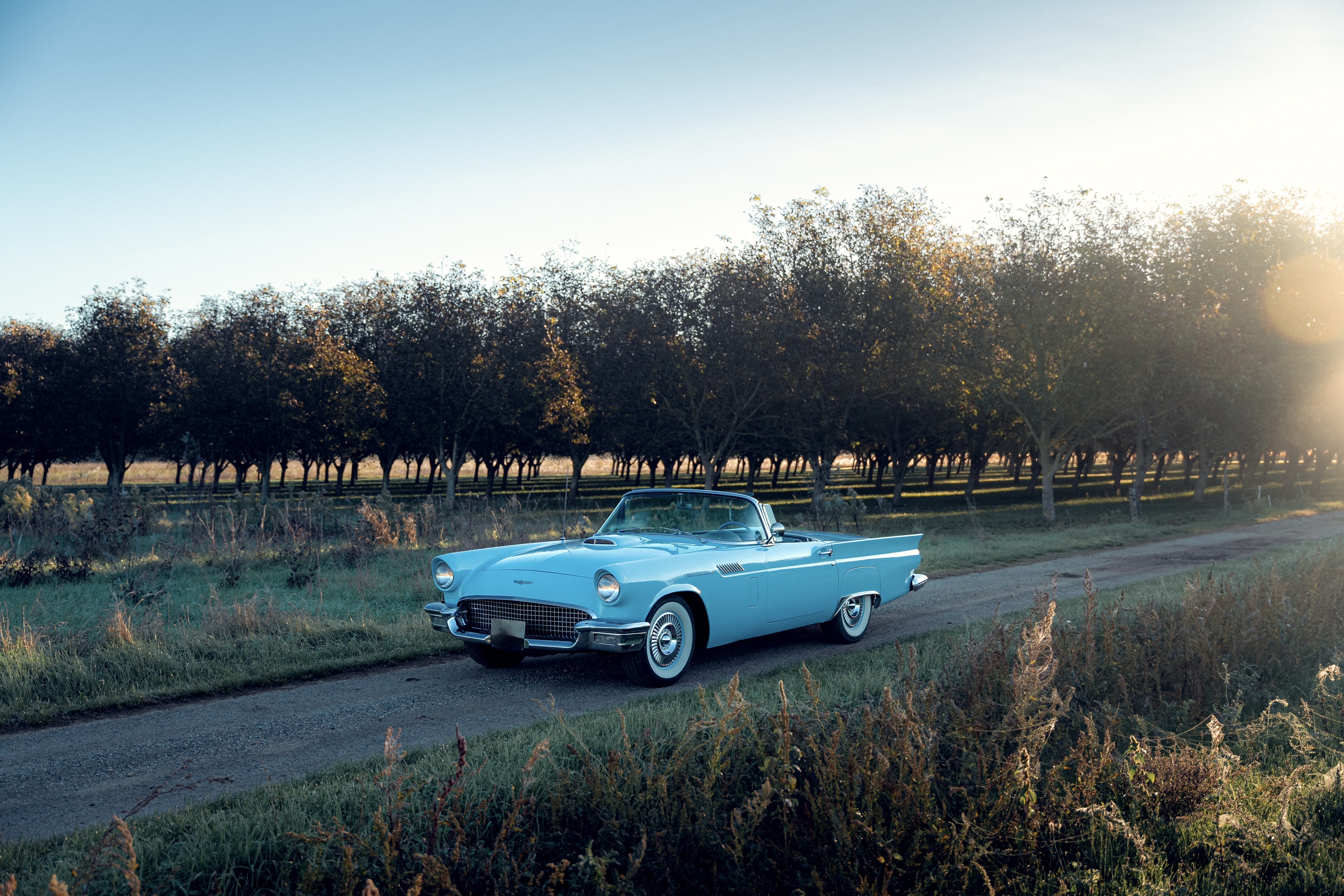 Ford Thunderbird 1957